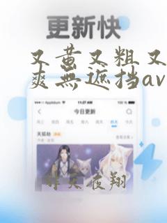 又黄又粗又猛又爽无遮挡av