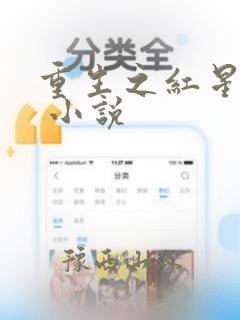 重生之红星传奇 小说