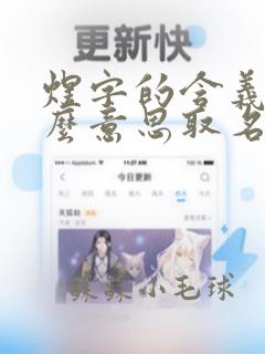 煜字的含义是什么意思取名男孩