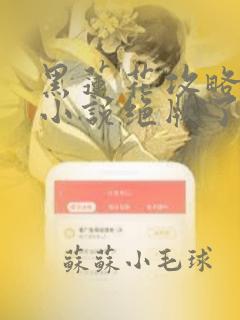 黑莲花攻略手册小说绝版了吗