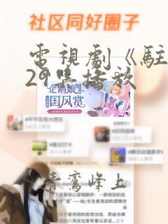 电视剧《驻站》29集播放