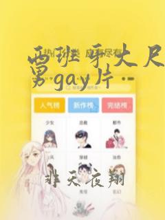 西班牙大尺度男男gay片