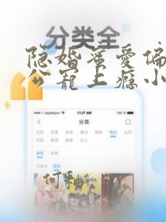 隐婚蜜爱偏执老公宠上瘾小说全集