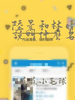 陆晨和林晴雪小说叫什么名字