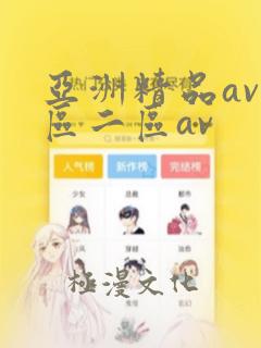 亚洲精品av一区二区av