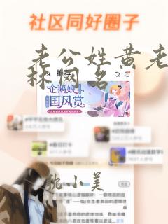 老公姓黄老婆姓林网名