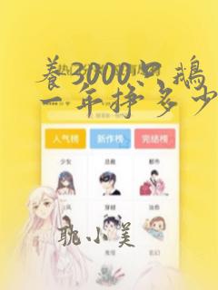 养3000只鹅一年挣多少钱