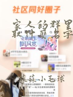 家人的群里应该取什么名字