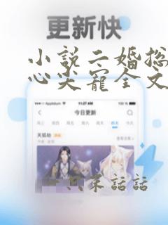 小说二婚总裁的心尖宠全文