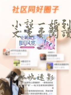 小说一婚到底全文免费阅读