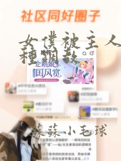 女仆被主人的各种调教