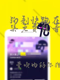 狗剩快跑在线全集免费观看完整版