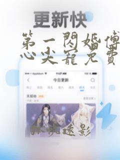 第一闪婚傅少的心尖宠免费