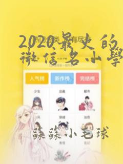 2020最火的微信名小学生