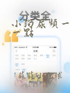 小狗尿频一会尿一点