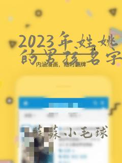 2023年姓姚的男孩名字