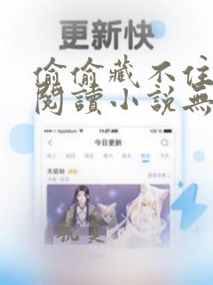 偷偷藏不住免费阅读小说无删减版