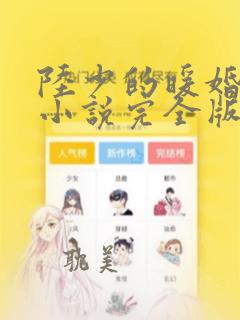 陆少的暖婚新妻小说完全版