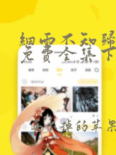 细雨不知归漫画免费全集下拉式漫画