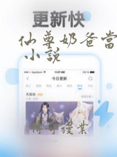 仙尊奶爸当赘婿 小说