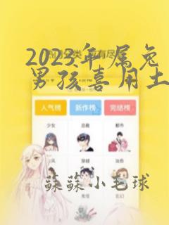 2023年属兔男孩喜用土字取名