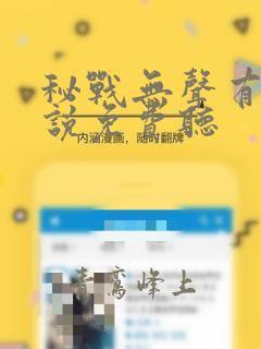 秘战无声有声小说免费听