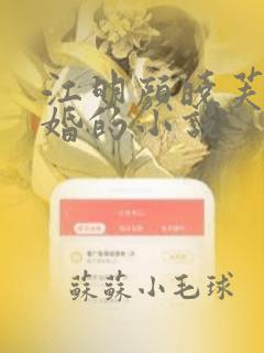 江明颜晓芙假结婚的小说