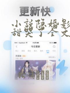 小说隐婚影帝后甜哭了全文阅读