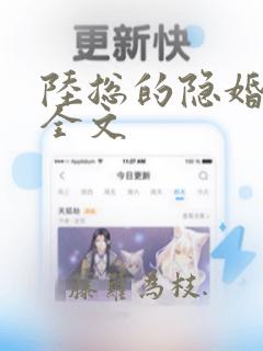 陆总的隐婚娇妻全文