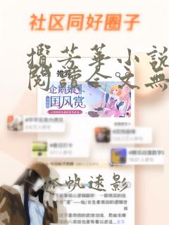 揽芳华小说免费阅读全文无弹窗