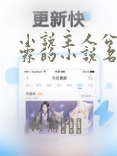 小说主人公叫李霖的小说名字