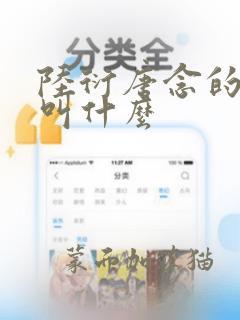 陆衍唐念的小说叫什么