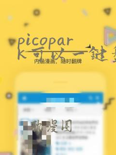 picopark可以一键盘一手柄吗