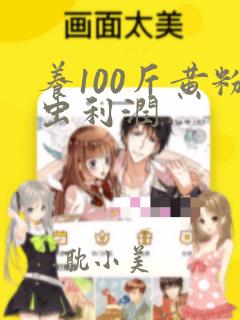 养100斤黄粉虫利润