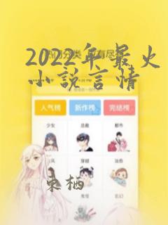 2022年最火小说言情