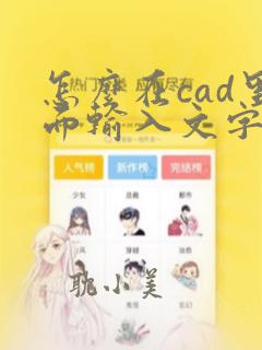 怎么在cad里面输入文字快捷键