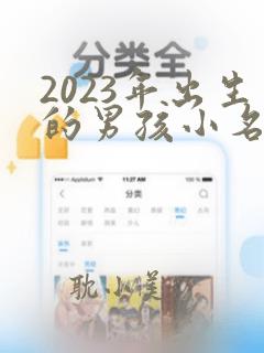 2023年出生的男孩小名叫什么