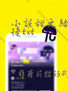 小说甜文结局之后txt