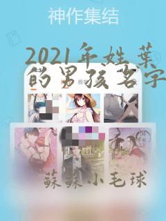 2021年姓叶的男孩名字