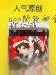 app开发哪家好公司