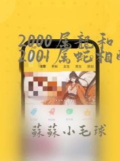 2000属龙和2001属蛇相配吗