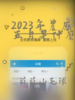 2023年农历五月是什么命