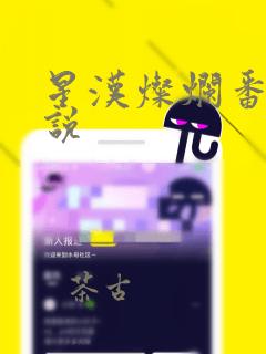 星汉灿烂番外小说