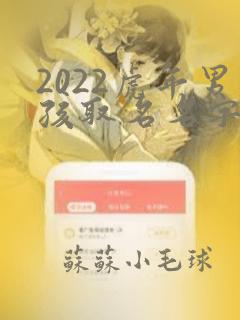 2022虎年男孩取名名字大全