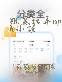 粗暴玩弄np高h小说