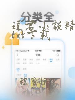 道君小说精校版txt下载