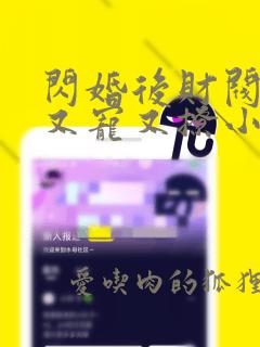 闪婚后财阀老公又宠又撩小说