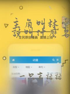 主角叫林云的小说叫什么名字