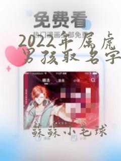 2022年属虎男孩取名字