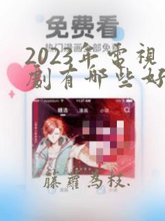 2023年电视剧有哪些好看的